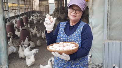 놓치면 손해! 맛있는유정란 특가 🥚✨ 솔직 후기