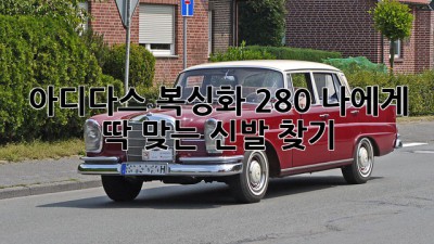 아디다스 복싱화 280📏 나에게 딱 맞는 신발 찾기 🥊